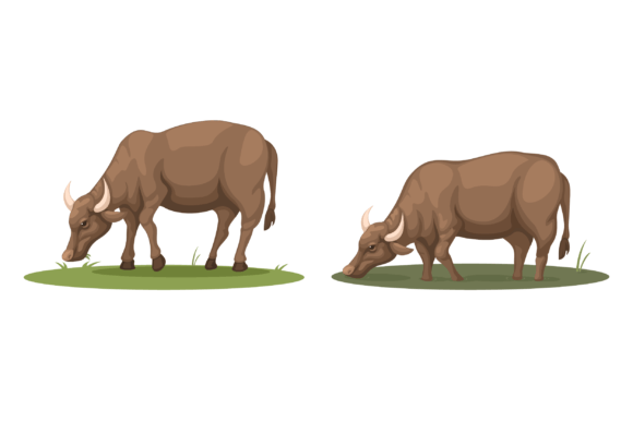Rural Animal Farm Buffalo Eating Grass: A Font with Character