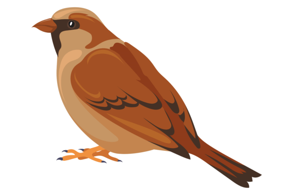 Sparrow Color Icon Wildlife Animal Nat: A Designer's Guide